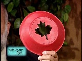 a_canadian_disc_for_the_cherry_play.jpg