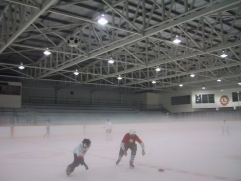 lake_shore_lions_aren_etobicoke.jpg